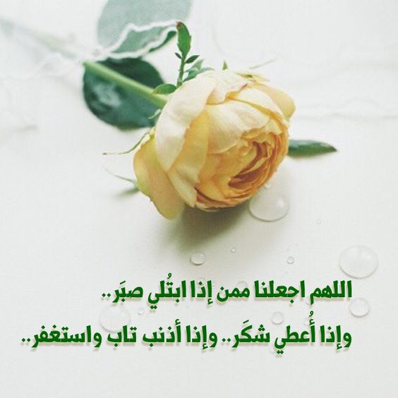 محفظمحفظ قرآن بروايات متعددة